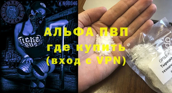 шишки Вязники