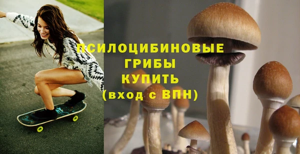 крисы Вяземский