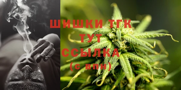 шишки Вязники