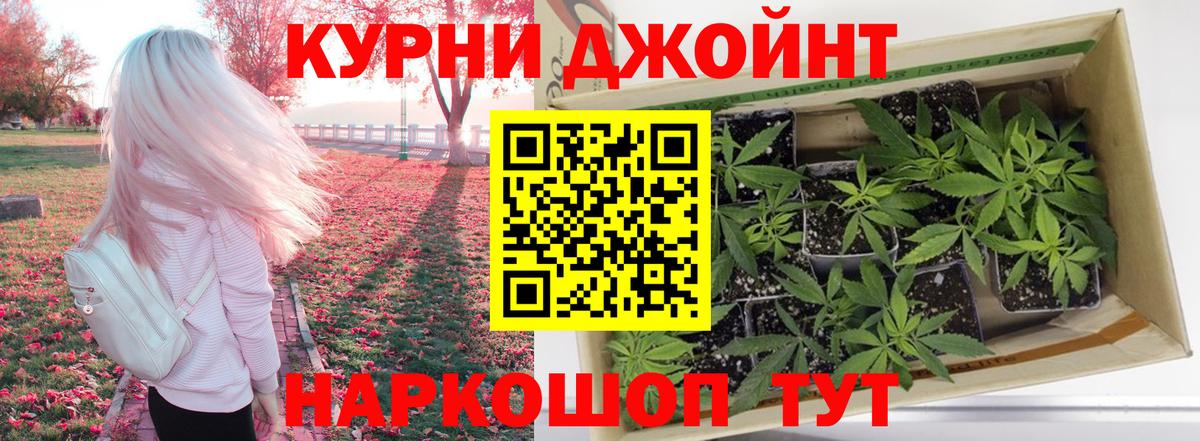 Бошки марихуана сатива  Канабис конопля  Шишки марихуана AK-47  Вход с VPN  Елец  Шишки марихуана Ganja 